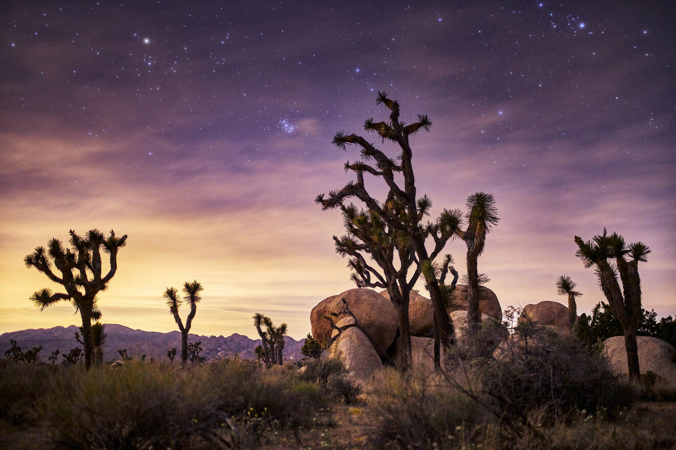 7 Where to stay near Joshua Tree national Park USA